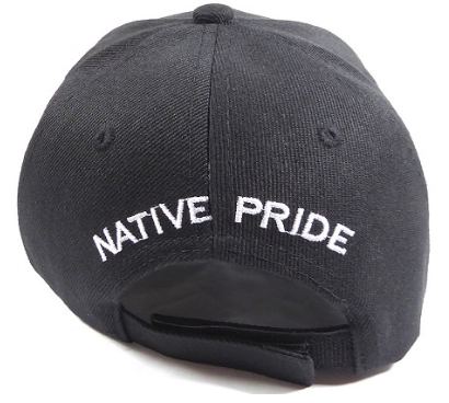 Native Pride Hat - Buffalo Skull and Feathers on Side